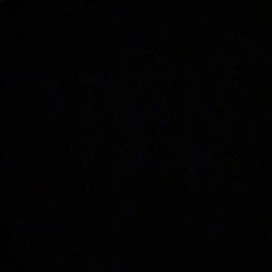 Meet your Posher, Reese